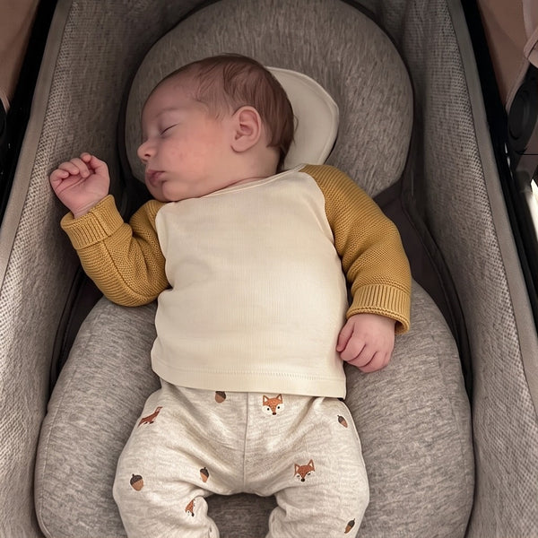 Baby schläft im Babynest